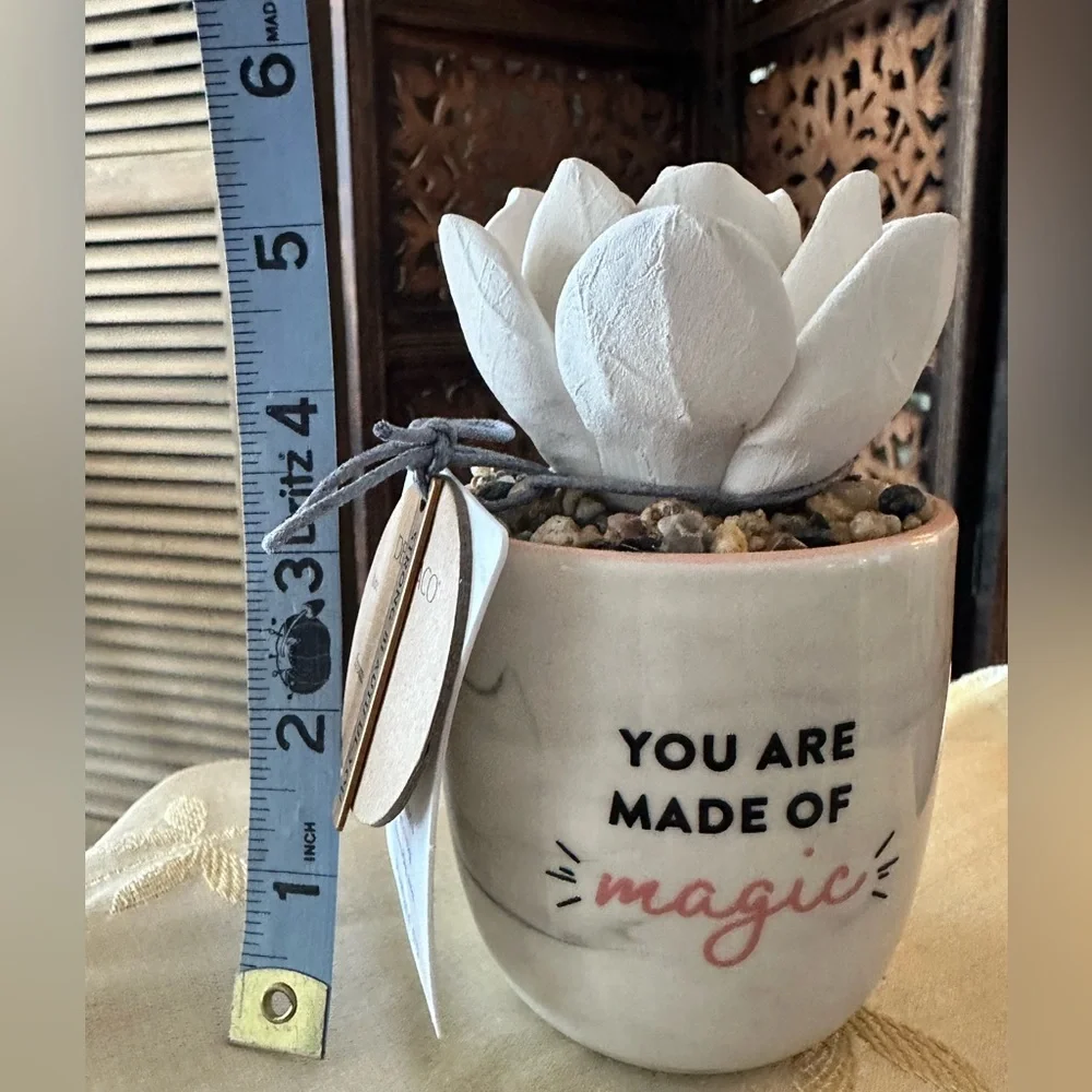 Demdaco Succulent Stoneware Essential Oil Diffuser. You Are Made Of Magic.